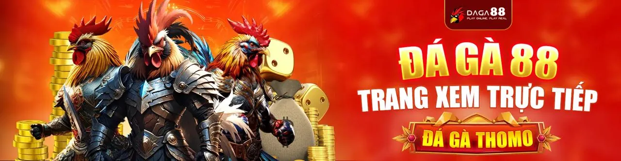 Trận đấu đá gà kịch tính tại Open88 Nhà Cái